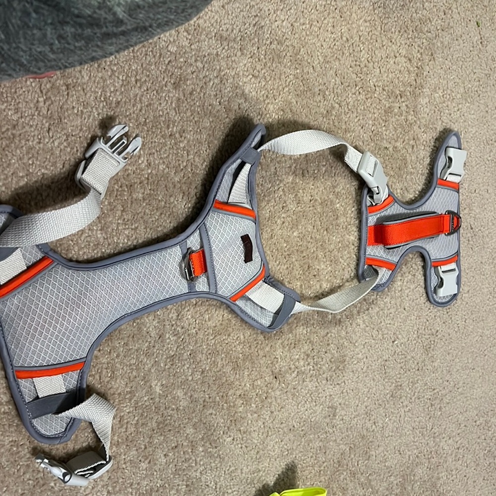 Reddy harness NWOT